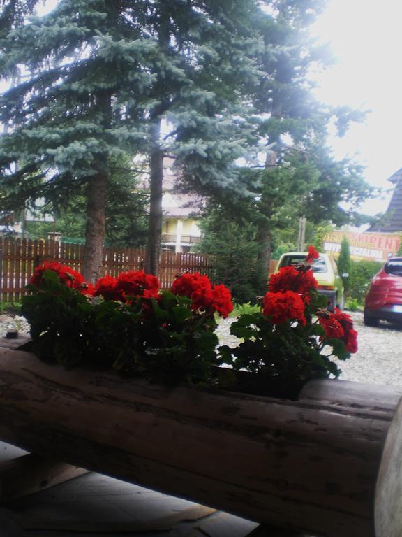 Pokoje Goscinne U Jaska Zab Dış mekan fotoğraf